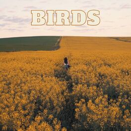 Album cover of Birds
