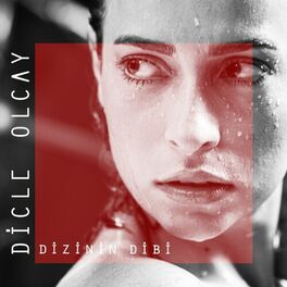 Album cover of Dizinin Dibi