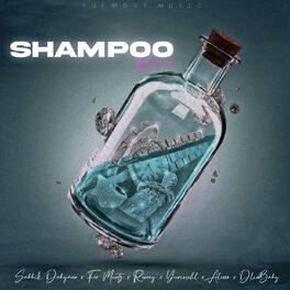 Album cover of Shampoo Remix