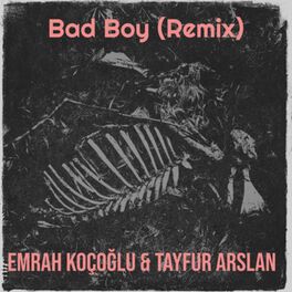 Album cover of Bad Boy (Remix)