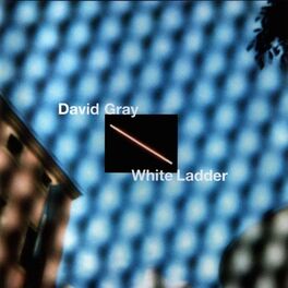 Album cover of White Ladder