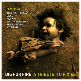 Album cover of Dig for Fire: a Tribute to Pixies