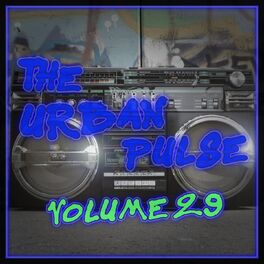 Album cover of The Urban Pulse,Vol.29