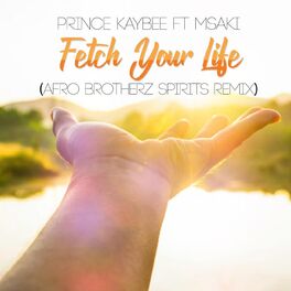 Album cover of Fetch Your Life (Afro Brotherz Spirits Remix)