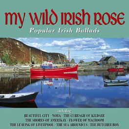 Album cover of My Wild Irish Rose