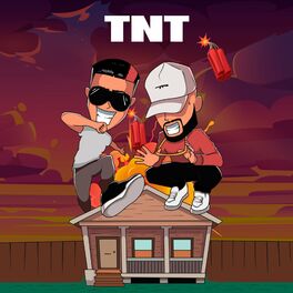 Album picture of TNT