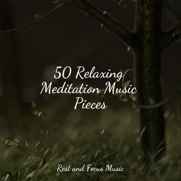 Album cover of 50 Relaxing Meditation Music Pieces
