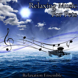 Album cover of Relaxing Music for Pets