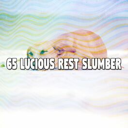 Album cover of 65 Lucious Rest Slumber
