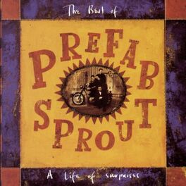 Album cover of A Life Of Surprises: The Best Of Prefab Sprout