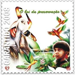 Album cover of O Boi da Preservação