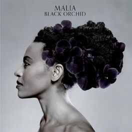 Album cover of Black Orchid