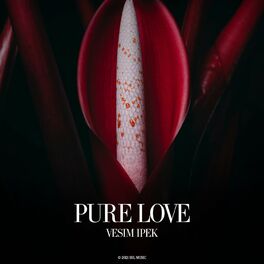 Album cover of Pure Love
