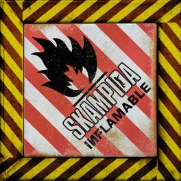 Album cover of Inflammable