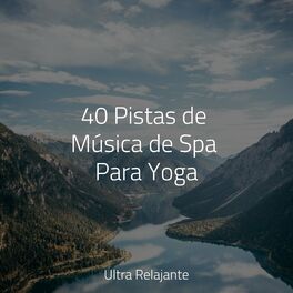 Album cover of 40 Pistas de Música de Spa Para Yoga
