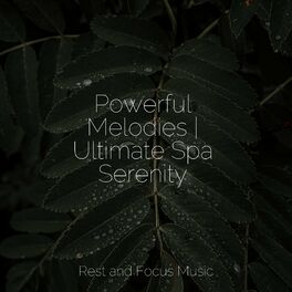 Album cover of Powerful Melodies | Ultimate Spa Serenity