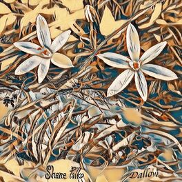 Album cover of Dallow