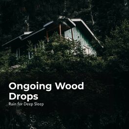 Album cover of Ongoing Wood Drops