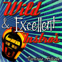Album cover of Wild & Excellent Instro's
