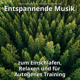 Album cover of Entspannende Musik zum Einschlafen, Relaxen und für Autogenes Training