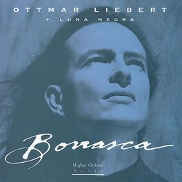Album cover of Borrasca