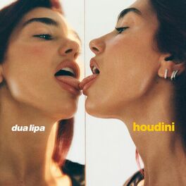 Album cover of Houdini