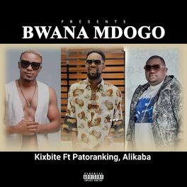 Album cover of Bwana mdogo (Refix)