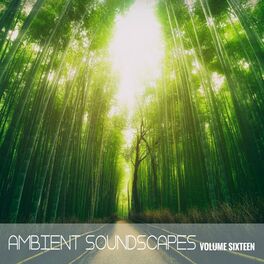 Album cover of Ambient SoundScapes, Vol. 16