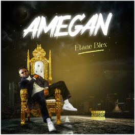 Album cover of Amegan