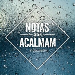 Album cover of Notas Que Acalmam