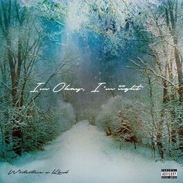 Album cover of I’m Okay, I’m iight