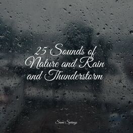 Album cover of 25 Sounds of Nature and Rain and Thunderstorm