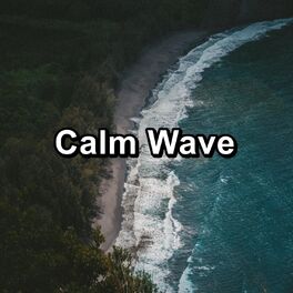 Album cover of Calm Wave