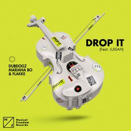 Album cover of Drop It (feat. LUISAH)
