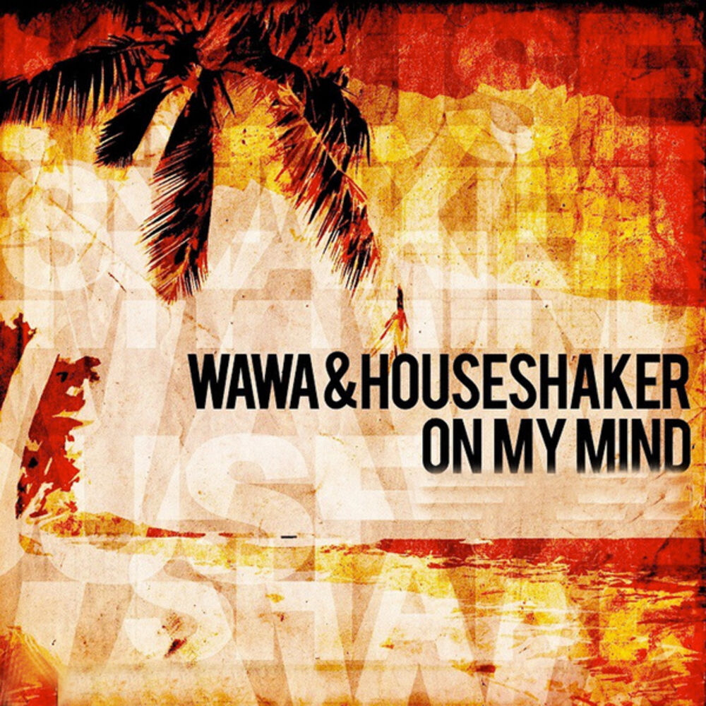 Вава а. Wawa_and_Houseshaker_-_on_my_Mind_Kosta_and_Zuma_Remix.
