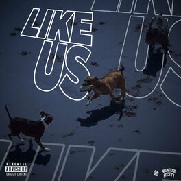 Album cover of Like Us