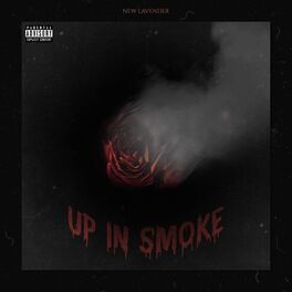 Album cover of UP IN SMOKE