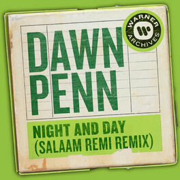 Album cover of Night and Day (Salaam Remi Remix)