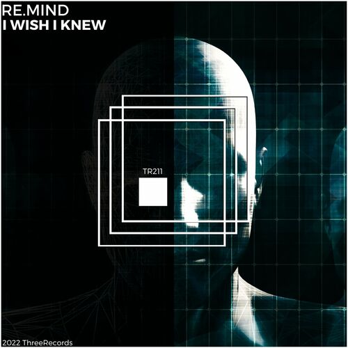 VA - Re.Mind - I Wish I Knew (2022) (MP3)