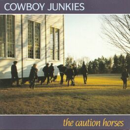 Album cover of The Caution Horses