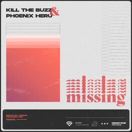 Album cover of Missing