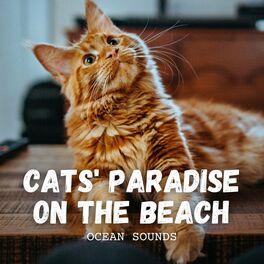 Album cover of Ocean Sounds: Cats' Paradise on the Beach