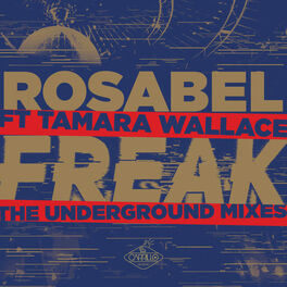 Album cover of Freak: The Underground Mixes (Remixes)