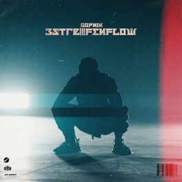 Album cover of Dreistreifenflow