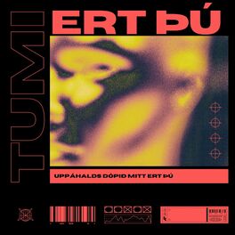 Album cover of ERT ÞÚ