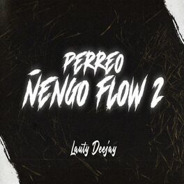 Album cover of PERREO ÑENGO FLOW 2