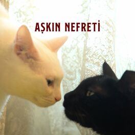 Album cover of Aşkın Nefreti