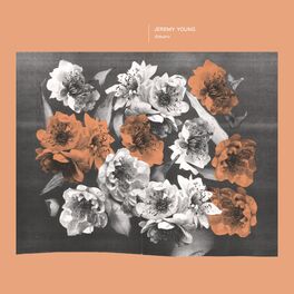 Album cover of Amaro