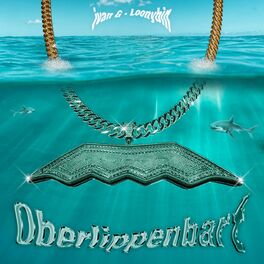 Album cover of Oberlippenbart