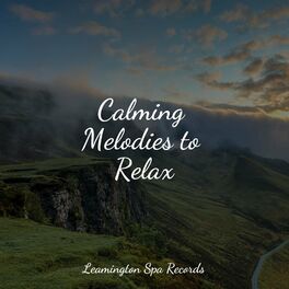 Album cover of Calming Melodies to Relax